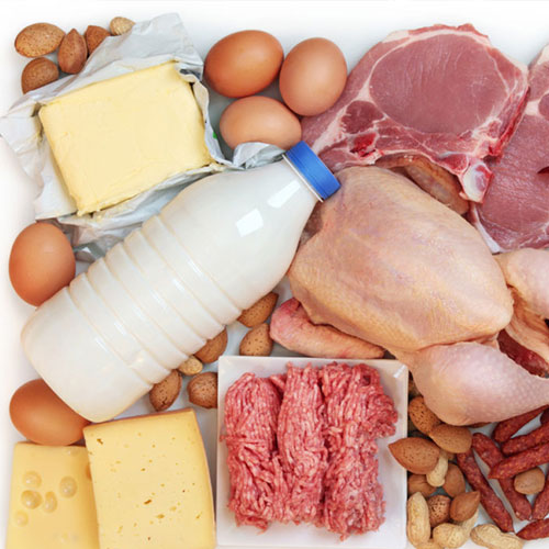 محصولات دامپروری